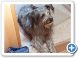 Urlaub in Frankreich 2017 (1)
Erste Rast in Vesoul ...