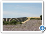 Urlaub in Frankreich 2017 (21)
Die Provence