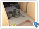 Urlaub in Frankreich 2017 (26)
