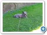 Urlaub in Frankreich 2017 (27)
