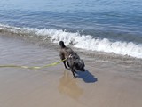 Urlaub in Dänemark 2019 (22)
