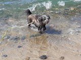 Urlaub in Dänemark 2019 (23)