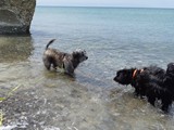 Urlaub in Dänemark 2019 (25)