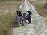 Urlaub in Dänemark 2019 (7)
Wanderung mit Harun ...