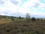 Urlaub in Dänemark 2019 (8)