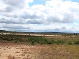Urlaub in Dänemark 2019 (9)
... durch die Lüneburger Heide.