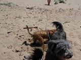 Urlaub in Frankreich 2018 (11)