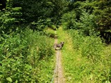 Urlaub in Frankreich 2018 (18)
... nach Freiburg.