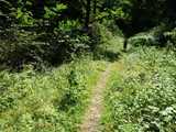 Urlaub in Frankreich 2018 (19)