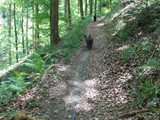 Urlaub in Frankreich 2018 (21)