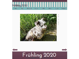 Link Frhling 2020