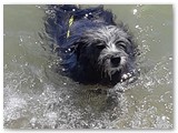Urlaub in Frankreich 2020 (32)
... nur das Schwimmen nicht.