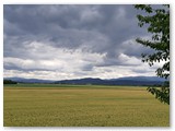 Urlaub in Frankreich 2020 (9)
... und es ging nach Frankreich.